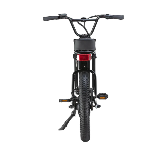 SWFT Zip-X 500W Fat Tire Electric Bike – Rider Cycles