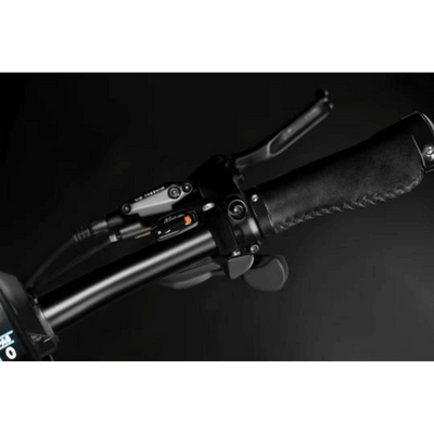 Rattan 750W XL Foldable Electric Bike Throttle