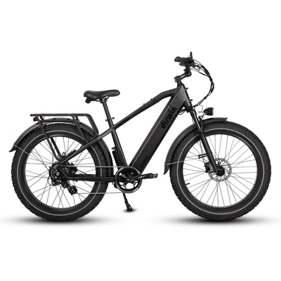 Dirwin Pioneer Fat Tire All-Terrain Electric Bike - Rider Cycles 