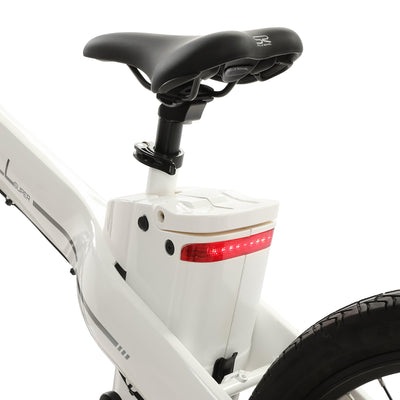 Ecotric Seagull White Electric Mountain Bicycle Battery & Saddle