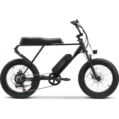 Up to 300 lbs Rider Cycles