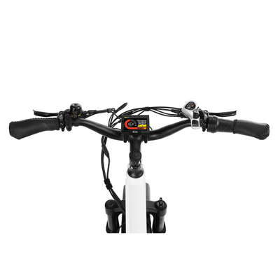 Dirwin Seeker E-Bike Display & Throttle View