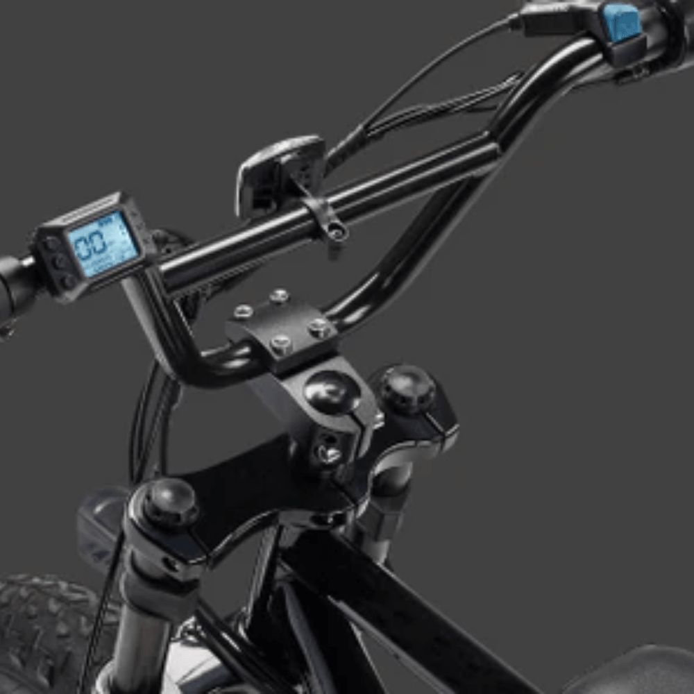 SWFT Zip 500W Fat Tire Electric Bike – Rider Cycles