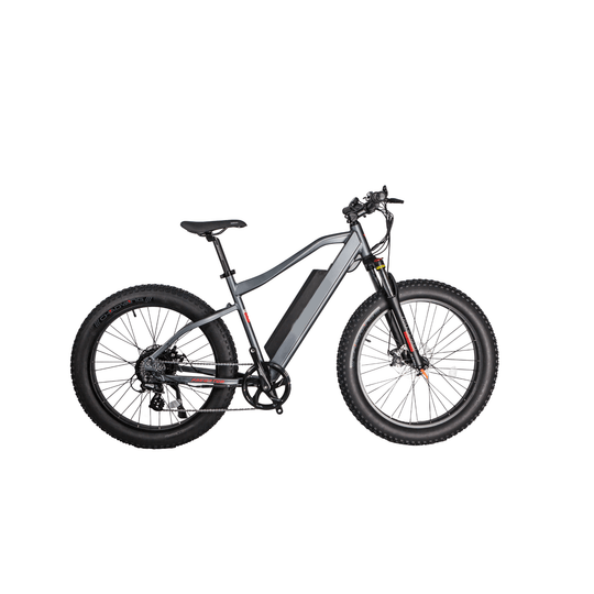 GlareWheel EB-PR Fat Tire Electric Mountain Bicycle Grey GlareWheel EB-PR Fat Tire Electric Mountain Bicycle Grey