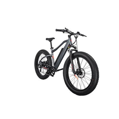 GlareWheel EB-PR PRO Grey Fat Tire 750W Electric Mountain Bicycle 