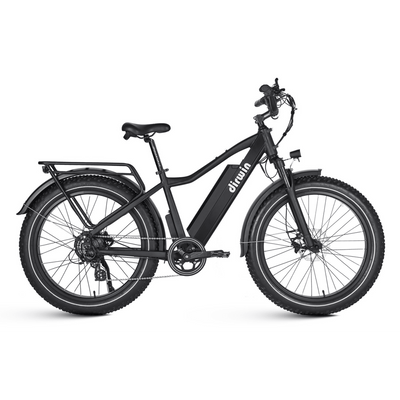 Dirwin Seeker All-Terrain Electric Bicycle Black