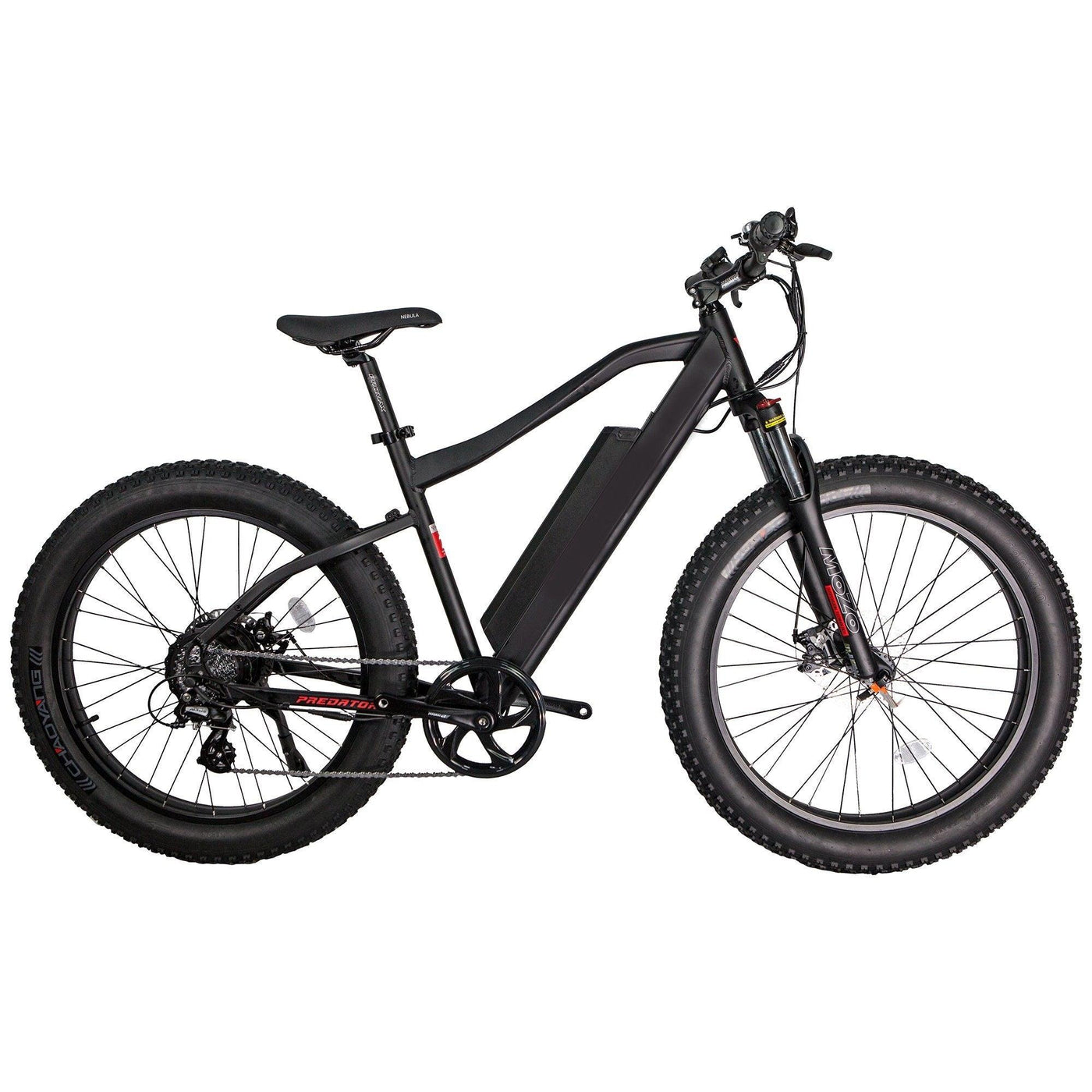 GlareWheel EB-PR PRO Fat Tire 750W Electric Mountain Bicycle 